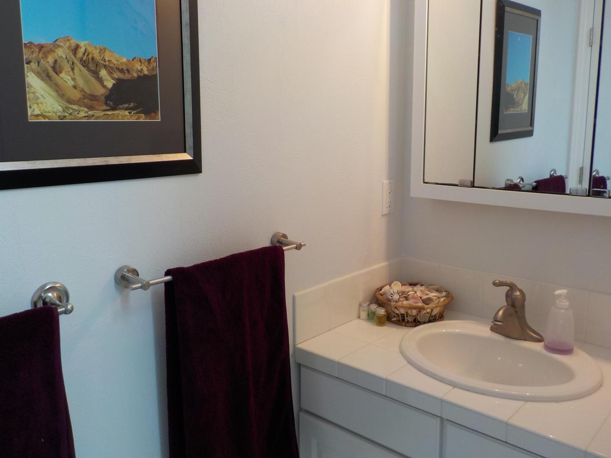 Oceanfront Studio/Loft: Alpacas, Oysters & Kayaks Shelton Extérieur photo