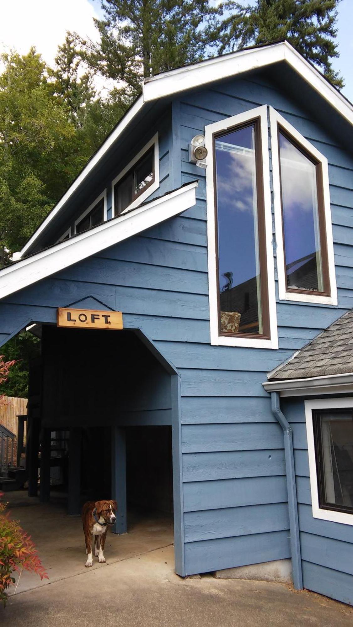 Oceanfront Studio/Loft: Alpacas, Oysters & Kayaks Shelton Extérieur photo